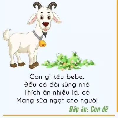 555+ câu đố vui, câu đố mẹo hack não chỉ IQ trên 120 mới trả lời được câu đố Câu đố cho trẻ em Câu đố dân gian câu đố hack não Câu đố mẹo Câu đố về con vật câu đố vui Câu đố vui trẻ em đố vui hình ảnh mẹo hay trẻ em