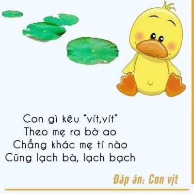 Câu đố hay cho trẻ em mầm non bằng hình ảnh. (Ảnh: Internet) Câu đố hay cho trẻ em mầm non bằng hình ảnh. (Ảnh: Internet)