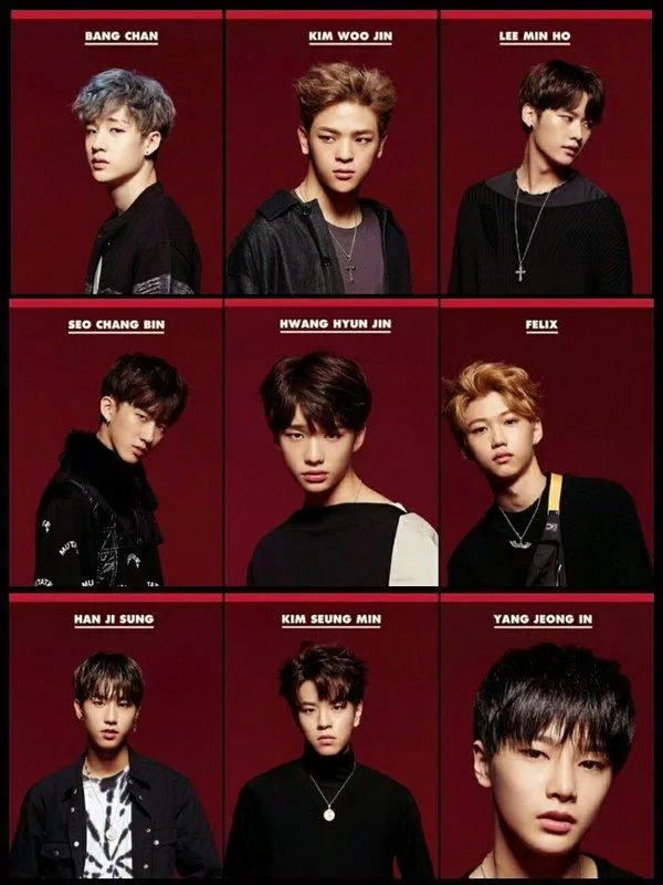 Các thành viên tham gia show Stray Kids (Nguồn: Internet)
