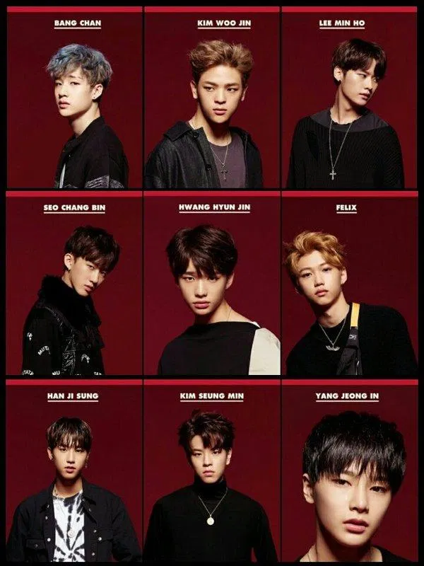 Các thành viên tham gia show Stray Kids (Nguồn: Internet)