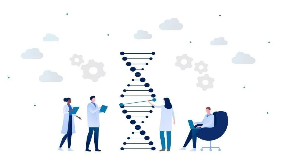 Di truyền (Nguồn: Internet)