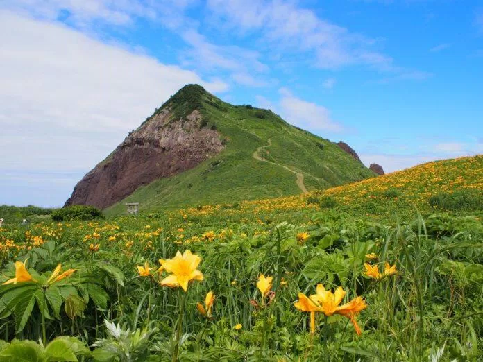 Phong cảnh trên núi Onogame thơ mộng như bước ra từ phim ảnh (Ảnh: Internet)