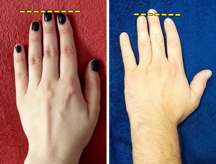 Khác biệt cơ thể giữa nam và nữ (Ảnh: Internet)