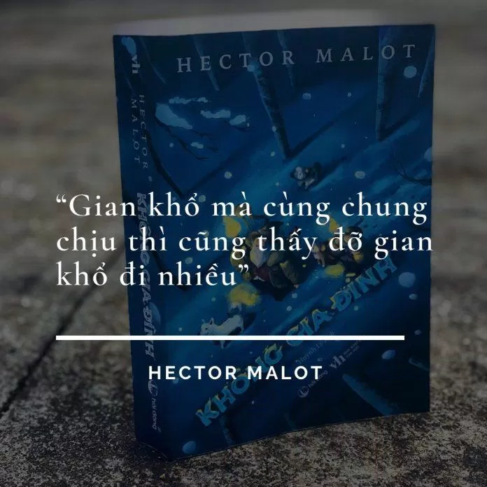 Trích dẫn hay trong tiểu thuyết Không gia đình. (Ảnh: BlogAnChoi)