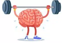 Cải xoăn giúp não bộ khỏe mạnh hơn (Ảnh: Internet)