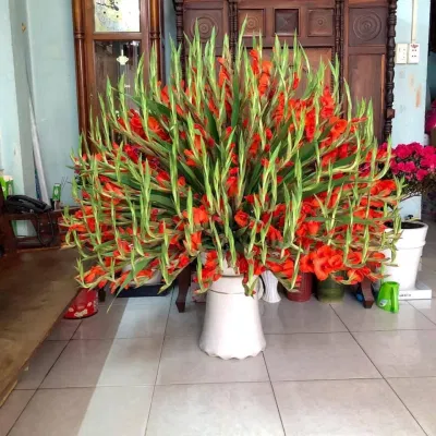Mẫu cắm hoa lay ơn đẹp cho bàn thờ. (Ảnh: Internet)