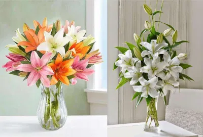 Tổng hợp 100 mẫu cắm hoa bàn thờ đơn giản mà đẹp: Thêm phần trang trọng cho gia tiên cắm hoa đơn giản hoa cúc hoa đào Hoa đồng tiền hoa hồng hoa huê hoa lay ơn hoa ly hoa mai hoa sen mẫu cắm hoa bàn thờ đẹp mẫu hoa cắm bàn thờ mẫu hoa cắm bàn thờ đẹp