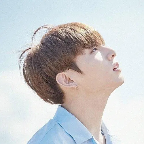 Màu nhuộm tóc nam nâu lạnh (nguồn: internet)