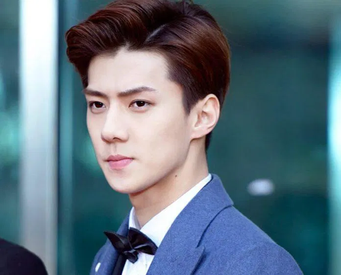 Màu nhuộm tóc nam nâu đỏ (nguồn: internet)