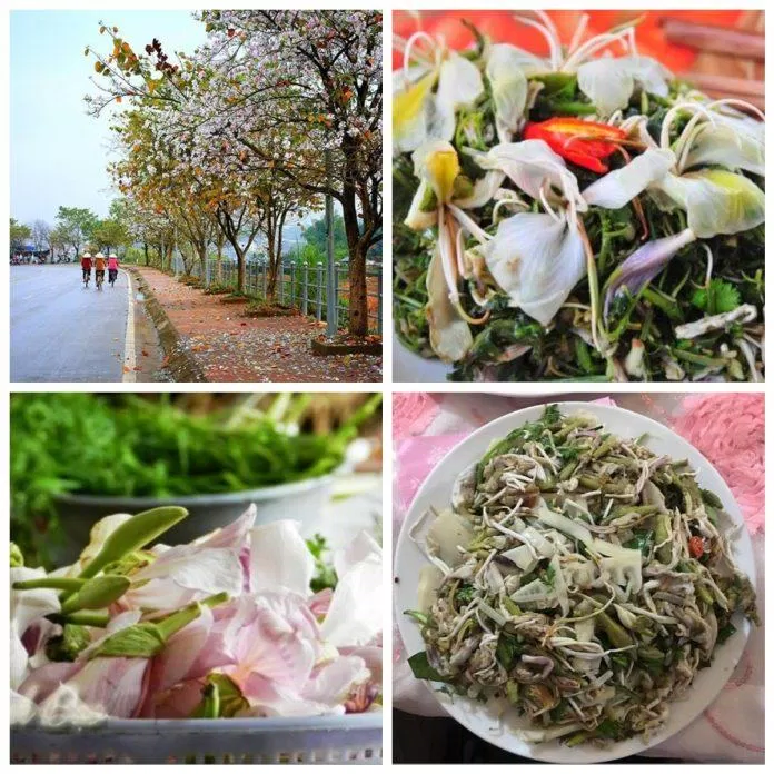 Nộm hoa ban Điện Biên (Nguồn Internet)