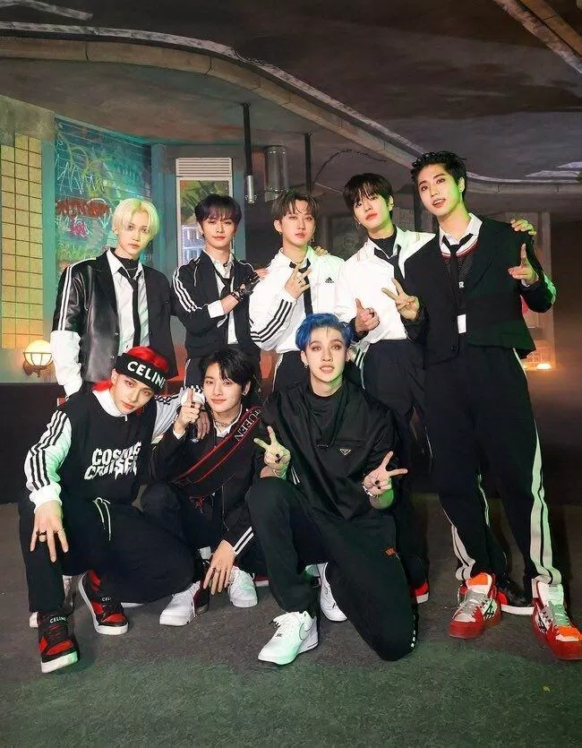 Nhóm nhạc STRAYKIDS (Nguồn: Pinterest)