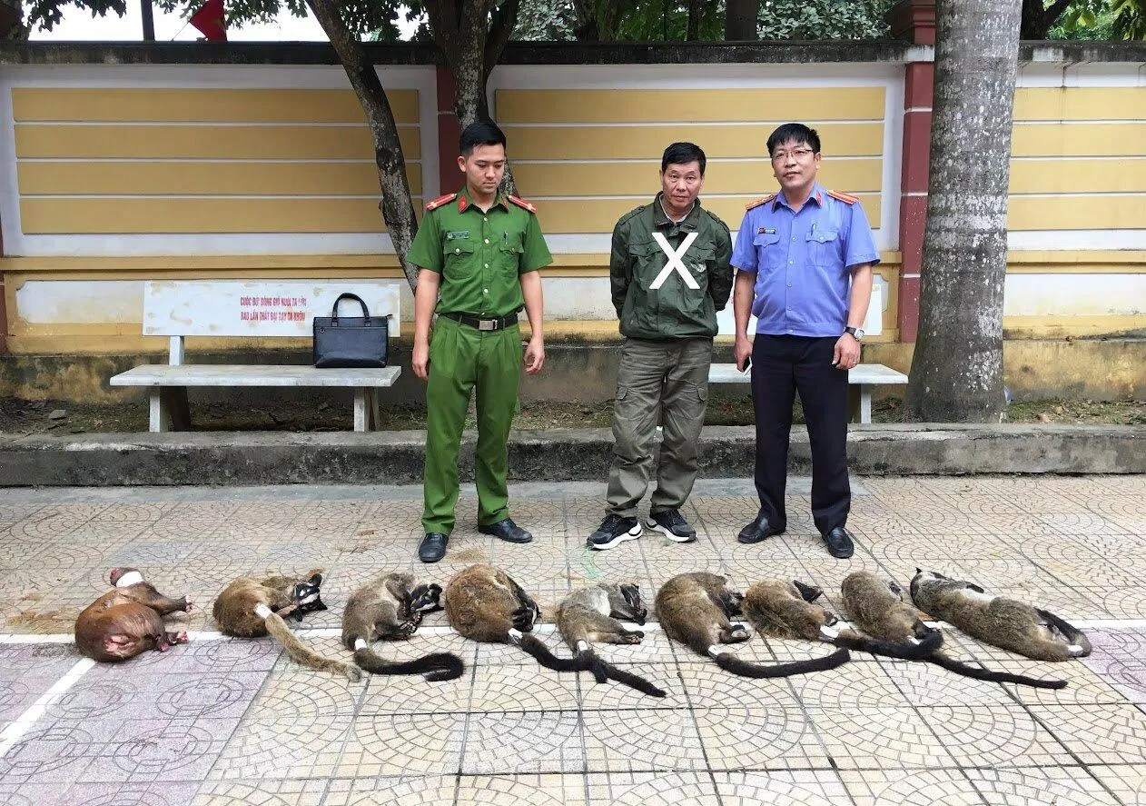 Hàng nghìn vụ vi phạm diễn ra mỗi năm liên quan đến vấn nạn săn bắt động vật hoang dã. (Ảnh: Internet)