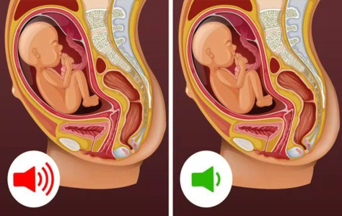 Sự thật về thai nhi (Ảnh: Internet)