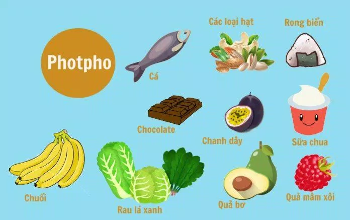 Các thực phẩm giàu photpho nên ăn có liều lượng để bảo vệ sức khỏe của thận (Ảnh: Internet) Các thực phẩm giàu photpho nên ăn có liều lượng để bảo vệ sức khỏe của thận (Ảnh: Internet)