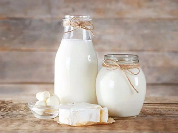 Hãy uống sữa có liều lượng vừa phải để giúp thận khỏe hơn (Ảnh: Internet)