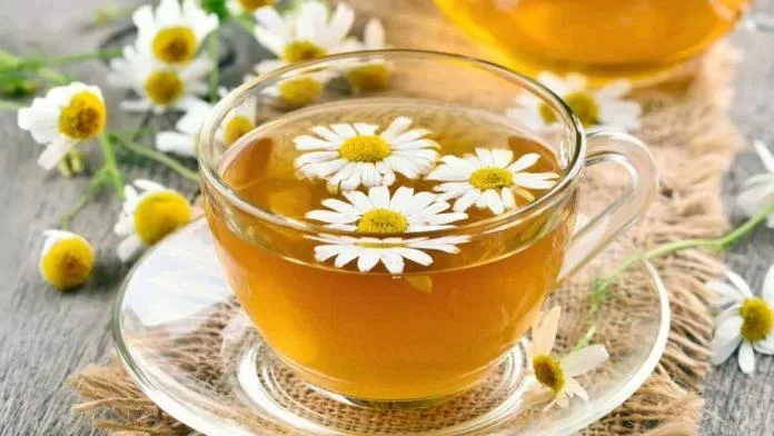 Trà hoa cúc có tác dụng cải thiện chất lượng giấc ngủ cho người dùng (Ảnh: Internet) Trà hoa cúc có tác dụng cải thiện chất lượng giấc ngủ cho người dùng (Ảnh: Internet)