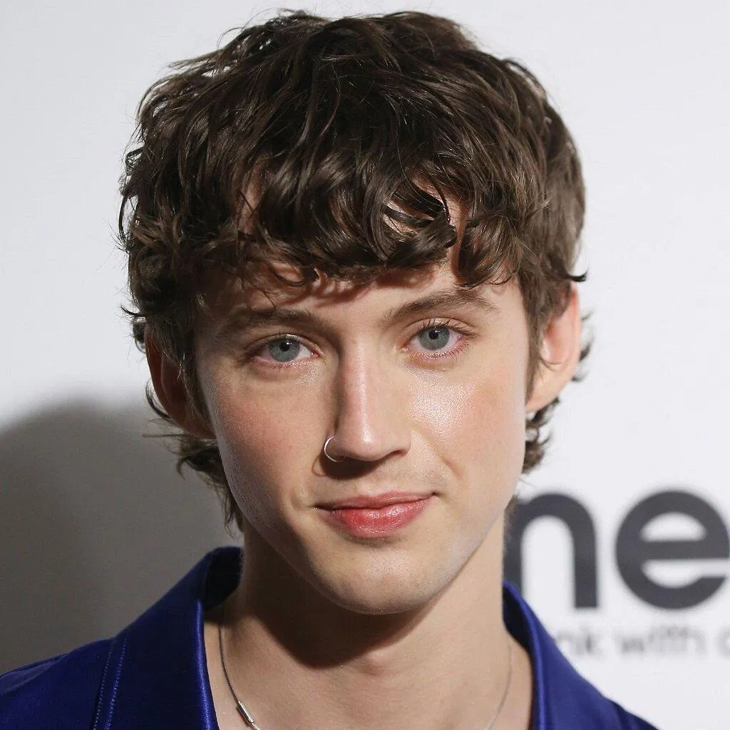 Nam ca sĩ người Úc Troye Sivan đã chính tay sáng tác và thể hiện bài hát này (Ảnh: Internet)