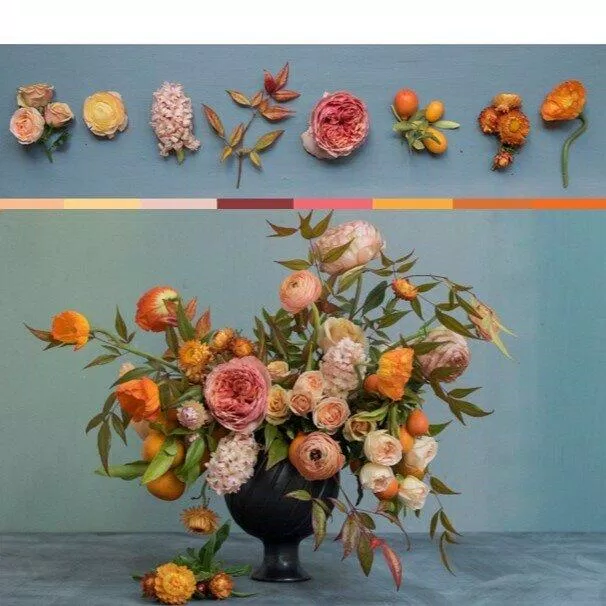 Ảnh hoa sử dụng và phối cảnh gợi ý cho màu cam. Nguồn: sách Color Me Floral: Stunning Monochromatic Arrangements for Every Season, Kiana Underwood.