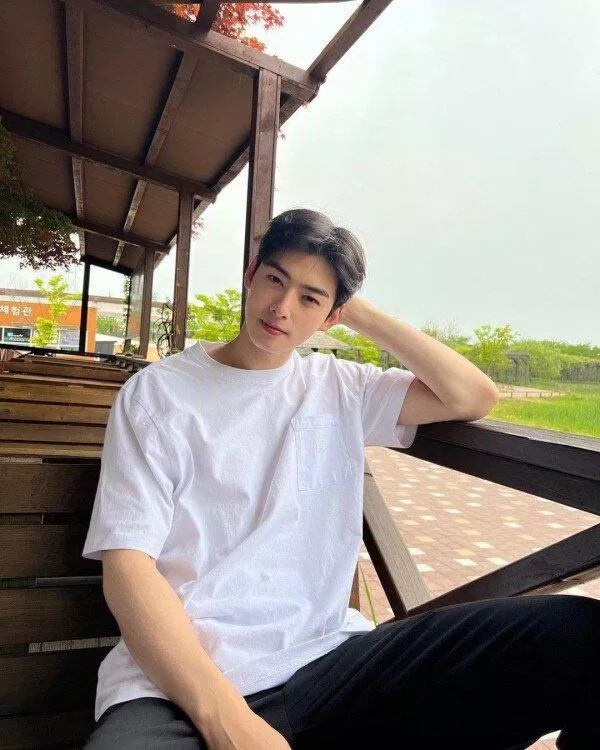 Cha Eun Woo ASTRO (Ảnh: Internet)