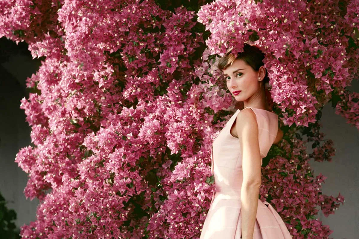 7 sự thật ít người biết về tượng đài nhan sắc Hollywood Audrey Hepburn 7 sự thật ít người biết về tượng đài nhan sắc Hollywood Audrey Hepburn Audrey hepburn biểu tượng nhan sắc biểu tượng thời trang BlogAnChoi diễn viên đặc biệt giải trí Hollywood hướng nội khám phá minh tinh ngôi sao người hướng nội Nhan sắc nổi tiếng sự thật thế giới thời trang thông tin thú vị xinh đẹp