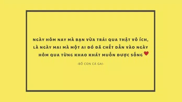 Đó cũng là khát khao cháy bỏng nhất của bố con Daum... (Nguồn: BlogAnChoi)