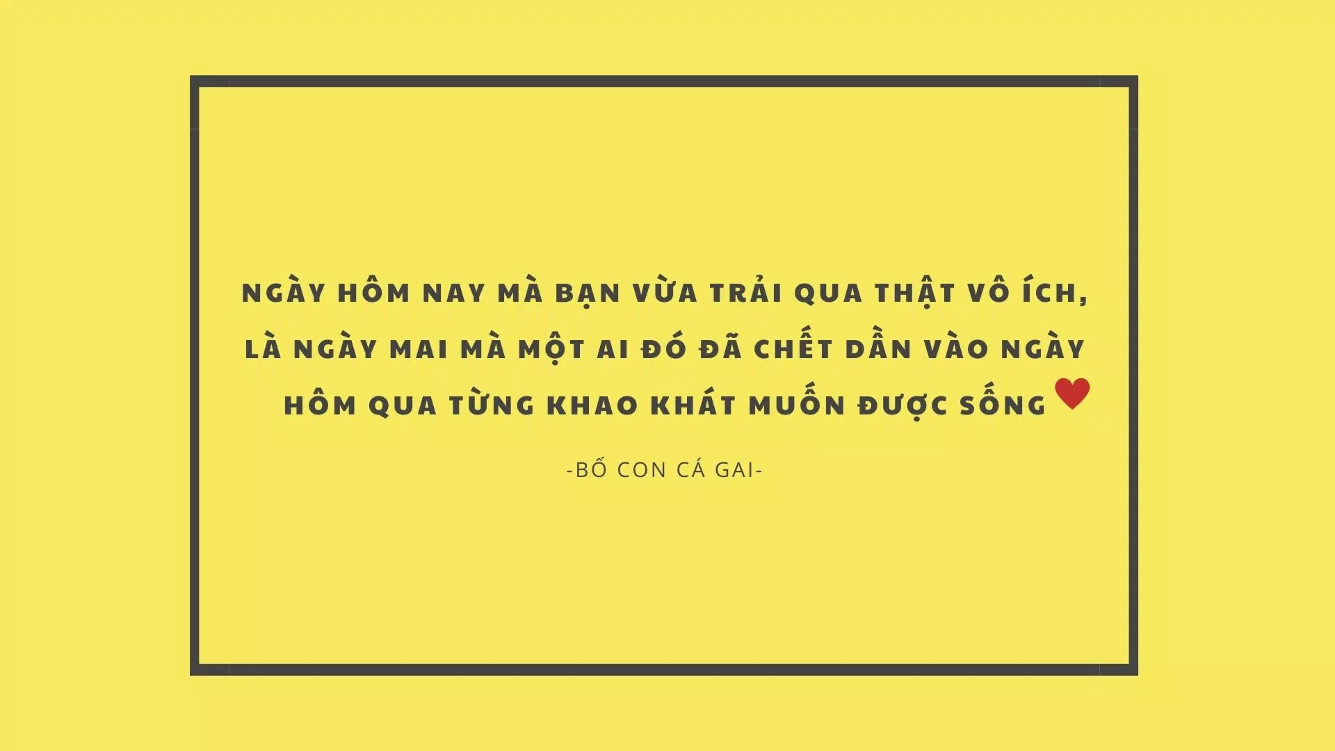 Đó cũng là khát khao cháy bỏng nhất của bố con Daum... (Nguồn: BlogAnChoi)