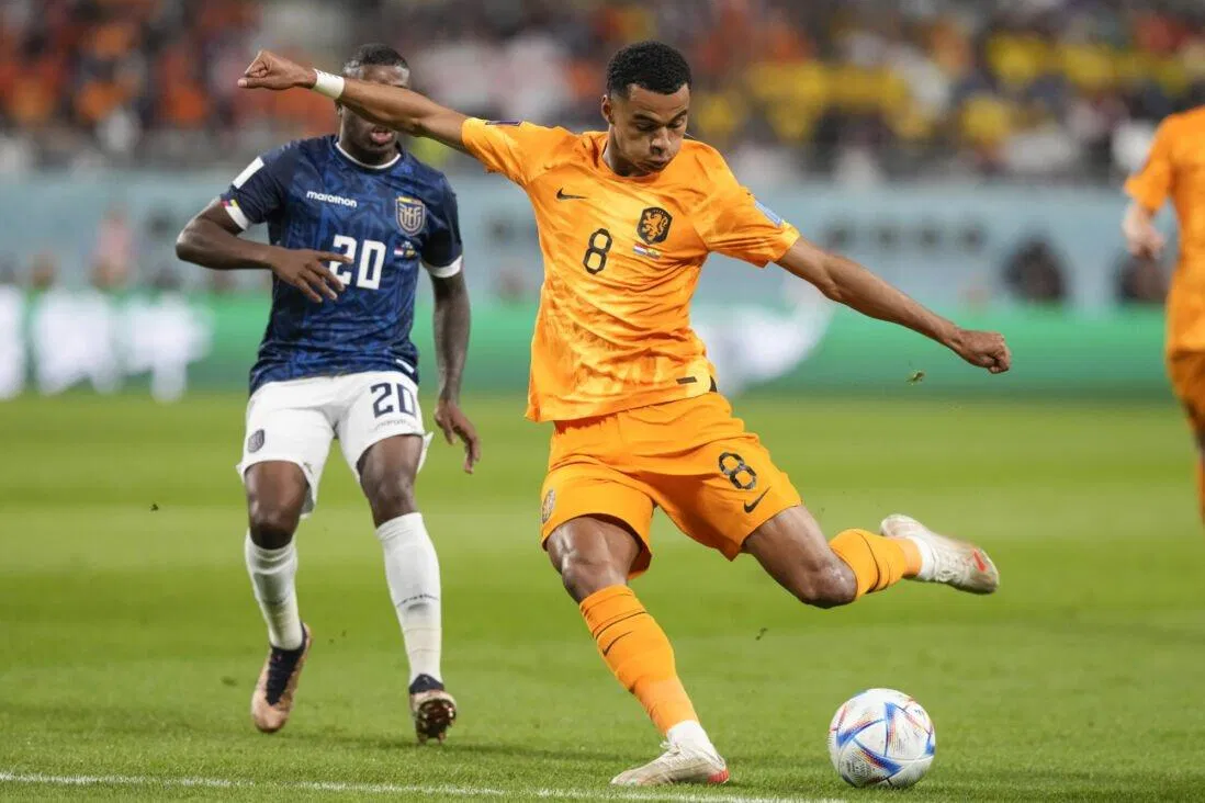 Cody Gakpo đưa Hà Lan vươn lên dẫn trước từ rất sớm (Ảnh: Internet) Cody Gakpo đưa Hà Lan vươn lên dẫn trước từ rất sớm (Ảnh: Internet)