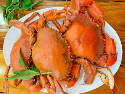 Giá trị dinh dưỡng có trong cua. Nguồn: Internet