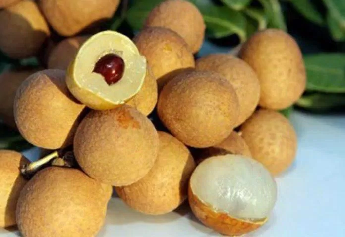 Đặc sản nhãn lồng Hưng Yên. (Ảnh: Internet)