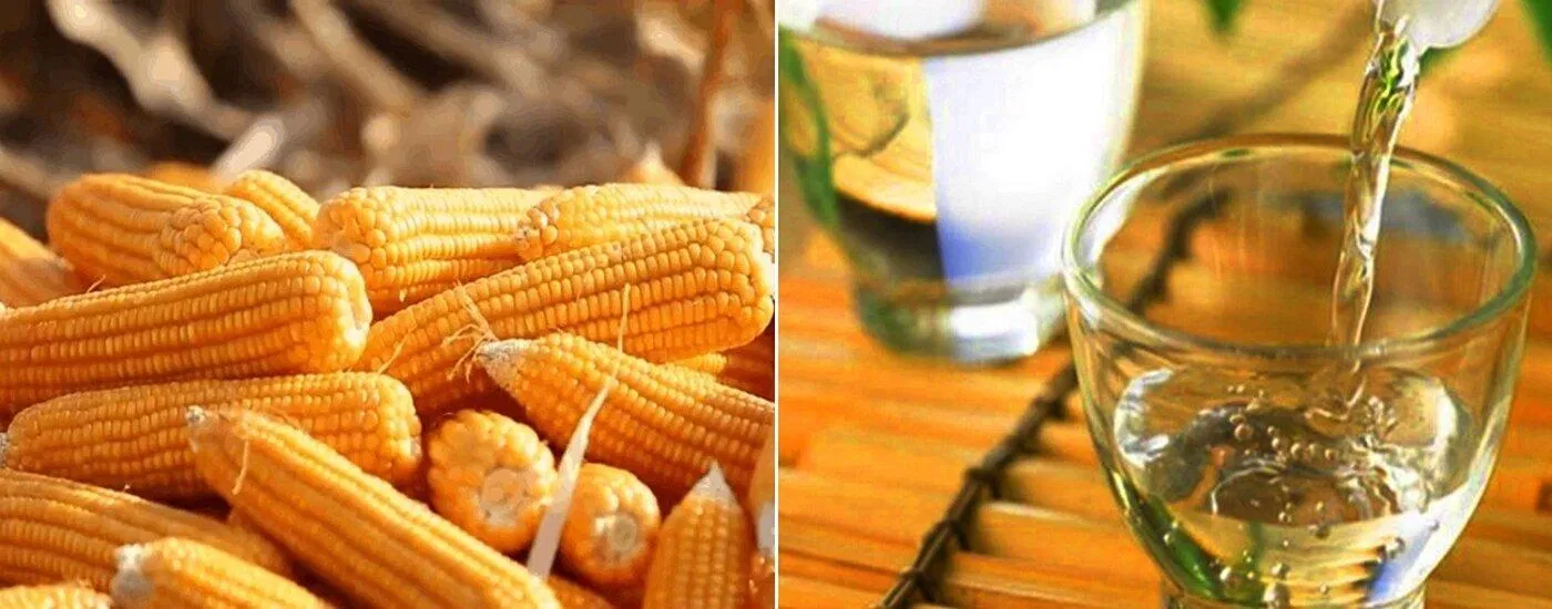 Rượu ngô Sùng Phài