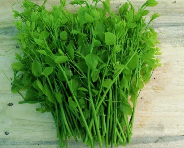Bó rau Bò Khai xanh mướt, lá non mơn mởn thường được bày bán trong ác chợ tại Thái Nguyên. (Nguồn ảnh: Internet)