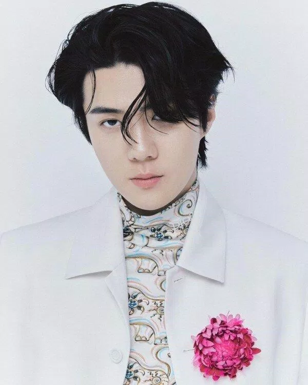 Sehun EXO (Ảnh: Internet)