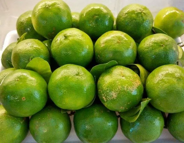 Quả chanh chứa vitamin C, vitamin B6, chất xơ, kali, pectin, axít citric (Ảnh: Internet) Quả chanh chứa vitamin C, vitamin B6, chất xơ, kali, pectin, axít citric (Ảnh: Internet)