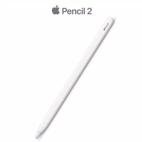 Bút cảm ứng Apple Pencil 2 của Apple (Ảnh: Internet)