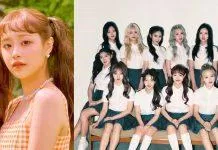 Sau khi Chuu bị loại, 9 thành viên LOONA đã đình chỉ hoạt động (Ảnh: Internet)