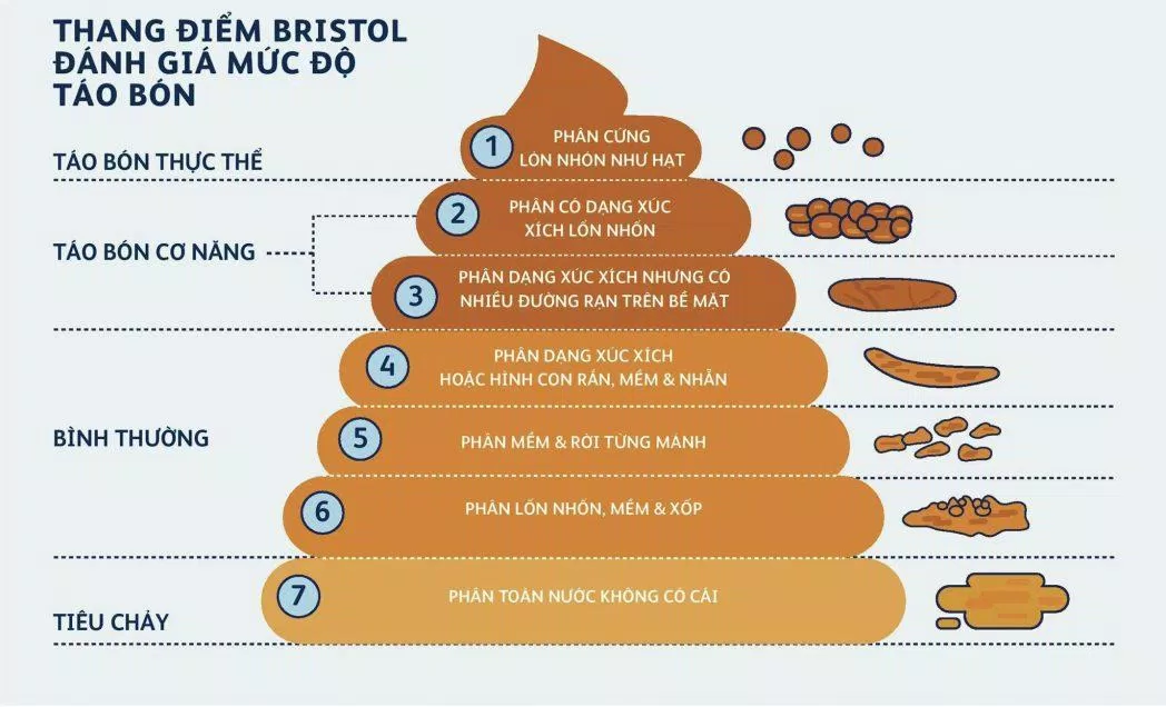 Mức độ táo bón (Nguồn: Internet)