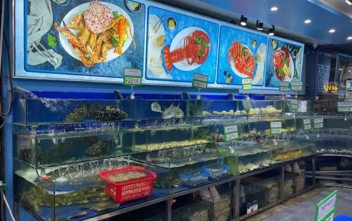 Quầy hải sản tươi sống của nhà hàng. (Ảnh: Internet)