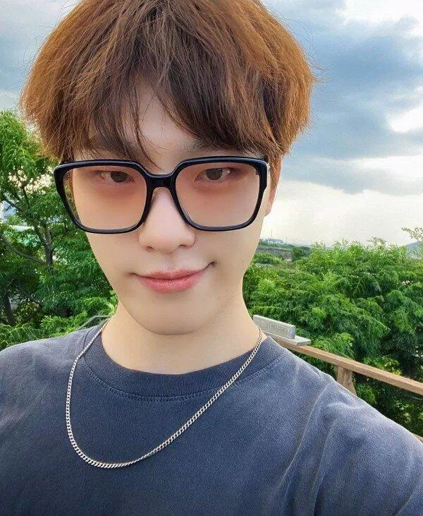 Dino SEVENTEEN (Ảnh: Internet)