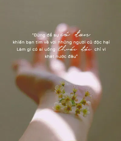 Stt cô đơn sẽ xoa dịu, an ủi và động viên bạn. (Ảnh: Internet)