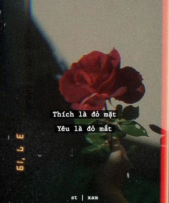 Thích không phải là độc quyền, nhưng yêu thì phải là duy nhất. (Nguồn: Internet)