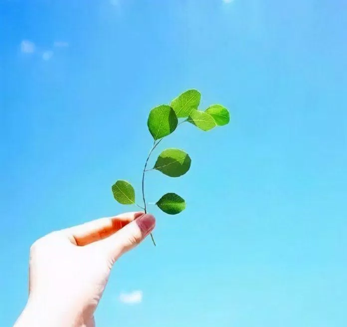 Lời chúc ngày mới tốt lành cho bạn bè. (Ảnh: Internet)