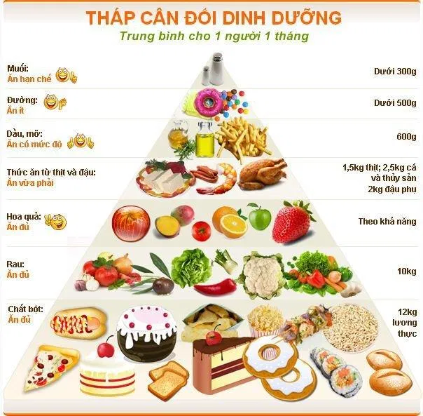 Tháp dinh dưỡng ( Nguồn: Internet)