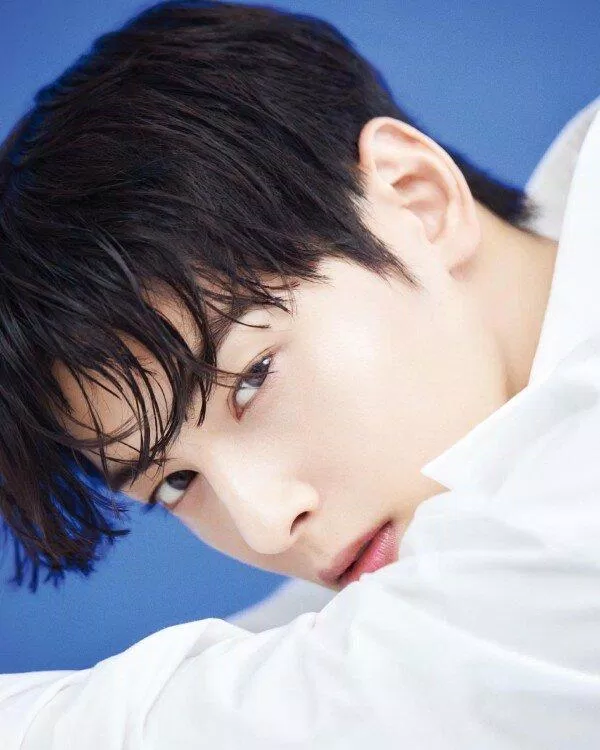 Cha Eun Woo ASTRO (Ảnh: Internet)