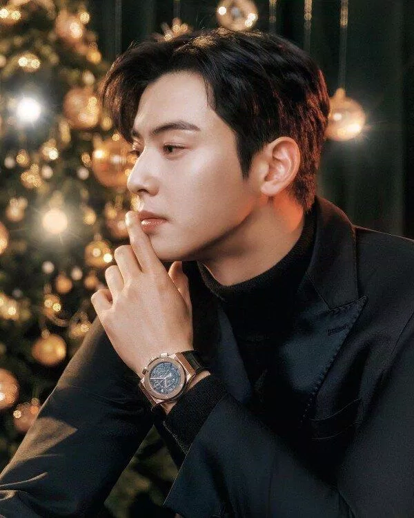 Cha Eunwoo ASTRO (Ảnh: Internet)