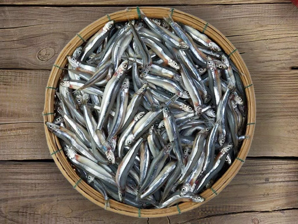 Giá trị dinh dưỡng của cá cơm. Nguồn: Internet