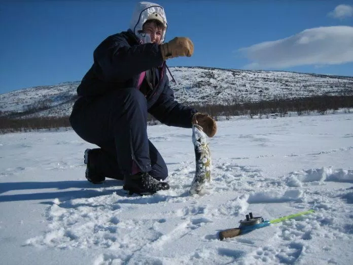 Câu cá trên hồ băng là một hoạt động thú vị khi đến Lapland (Ảnh: Internet).
