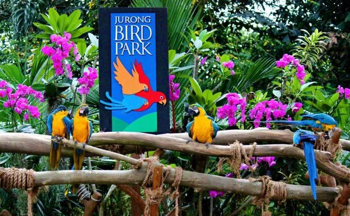 Công viên chim lớn nhất châu Á sẽ đóng cửa vào năm 2023 (Ảnh: Internet).