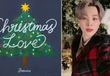 Christmas Love - Jimin (BTS)