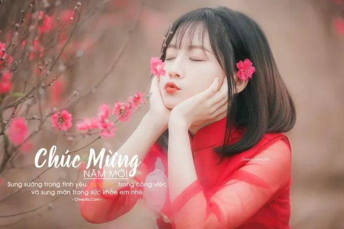 Câu chúc Tết người yêu cực lãng mạn. (Ảnh: Internet) Câu chúc Tết người yêu cực lãng mạn. (Ảnh: Internet)
