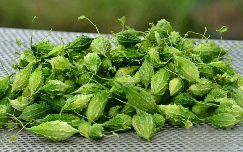 (Ảnh: Internet) (Ảnh: Internet)